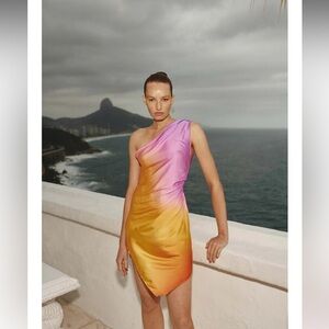 Baobab Collection Pink Asymmetrical Ruched Cocktail Dress